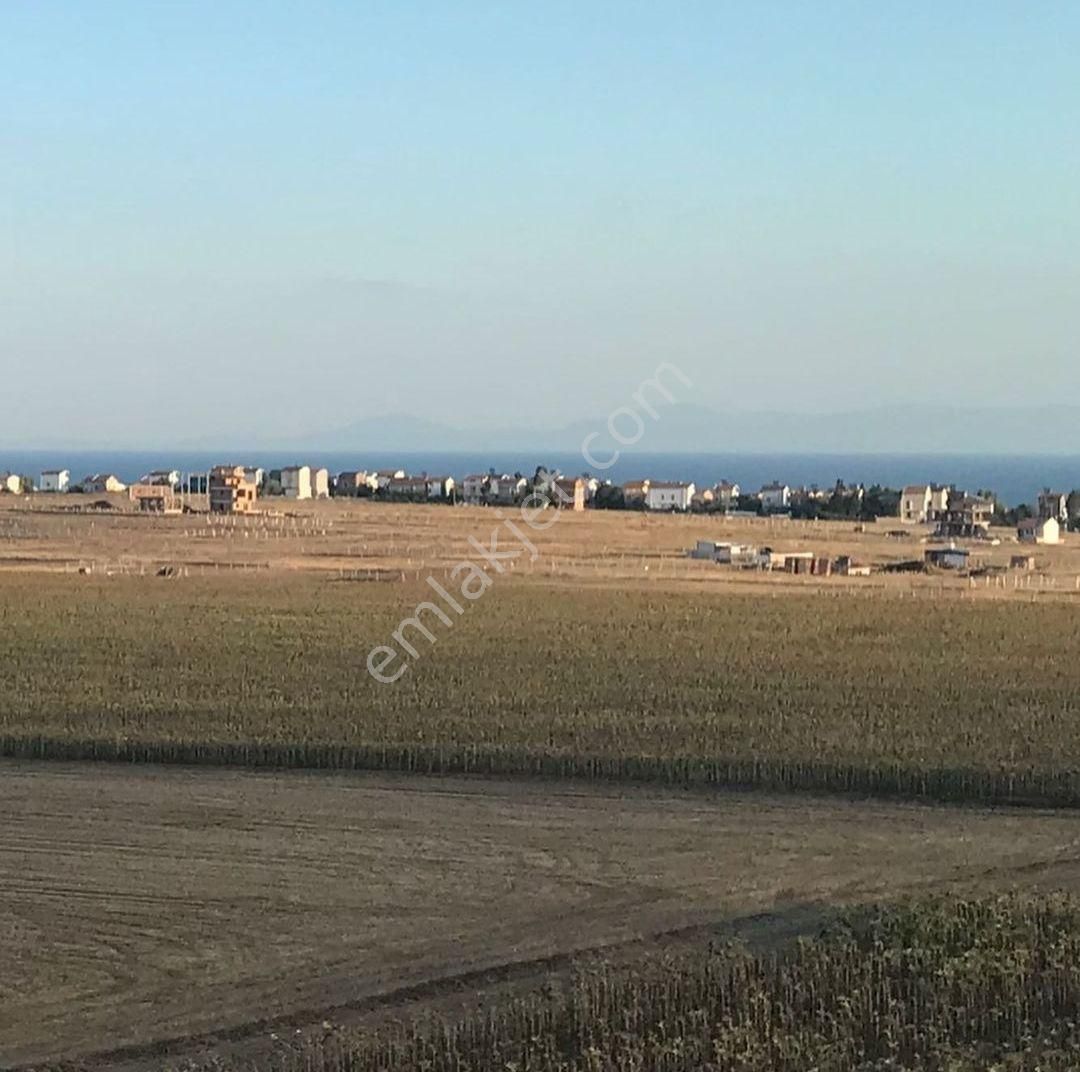 Marmaraereğlisi Dereağzı Satılık Tarla Tekirdağ Marmara Ereğlisi Dereağzı Mahallesinde Satlık Arsa Alıcısına Hayırlı Olsun