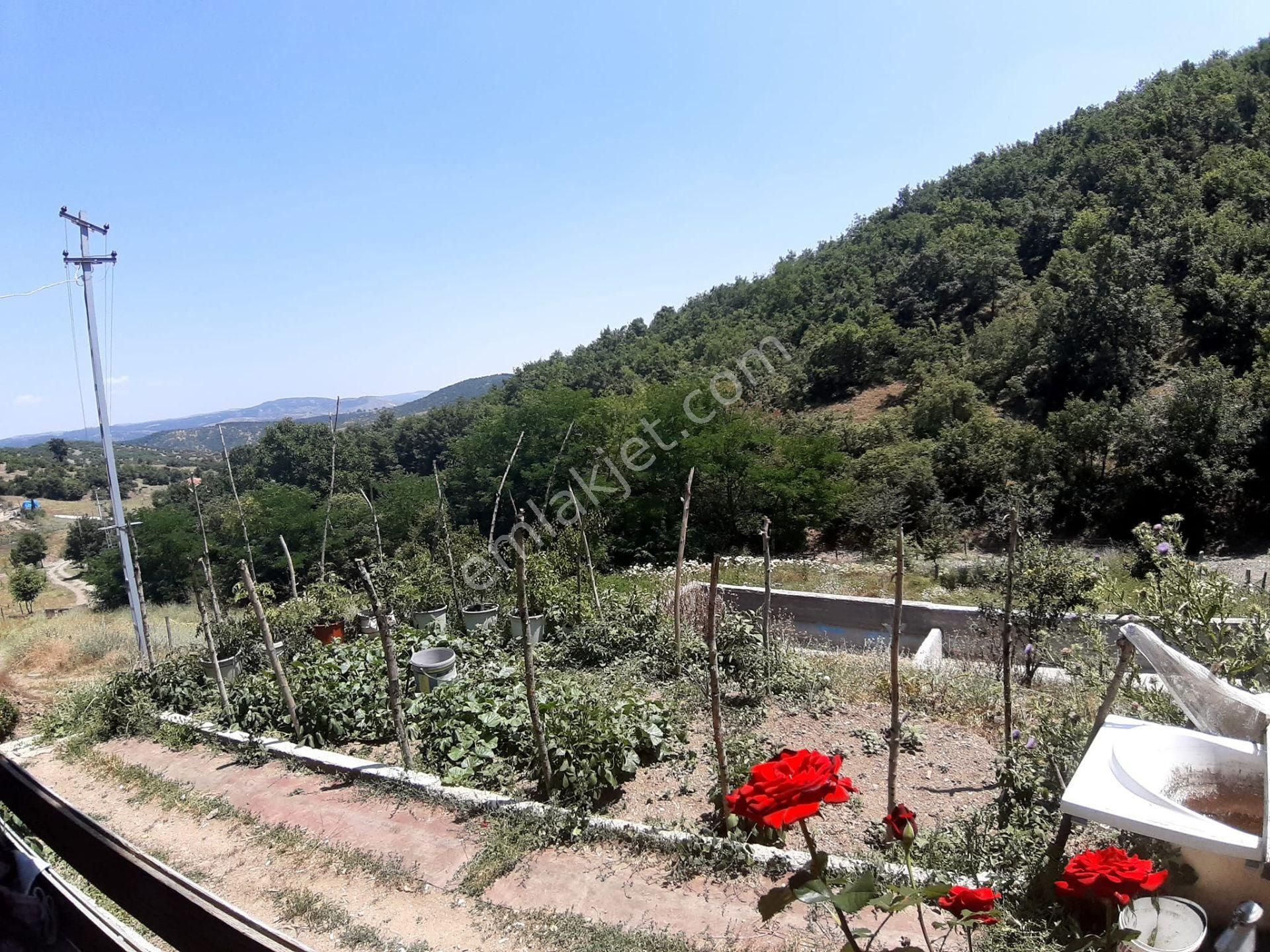 Bozüyük Çarşı Satılık Çiftlik  BİLECİK BOZÜYÜK BAHARÖZÜ KÖYÜNDE  YATIRIMLIK SATILIK ÇİFTLİK