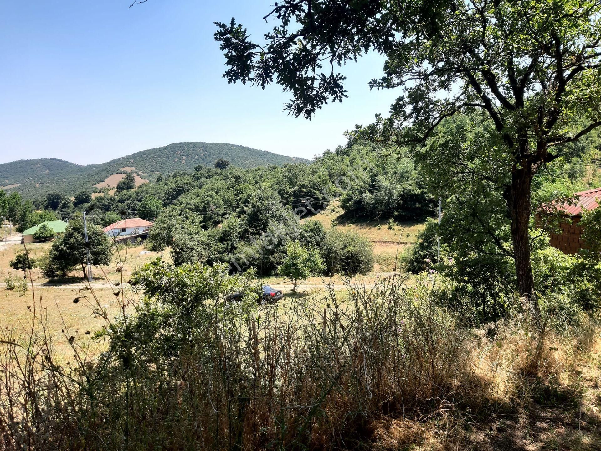 Bilecik Bozüyük Baharözü Köyünde Yatırımlık Satılık Çiftlik - Görsel 24