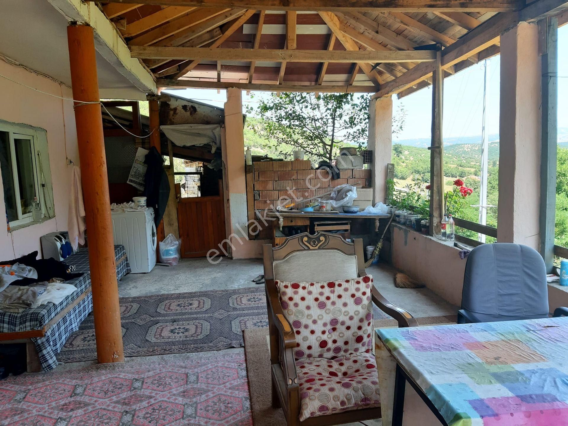 Bilecik Bozüyük Baharözü Köyünde Yatırımlık Satılık Çiftlik - Görsel 5