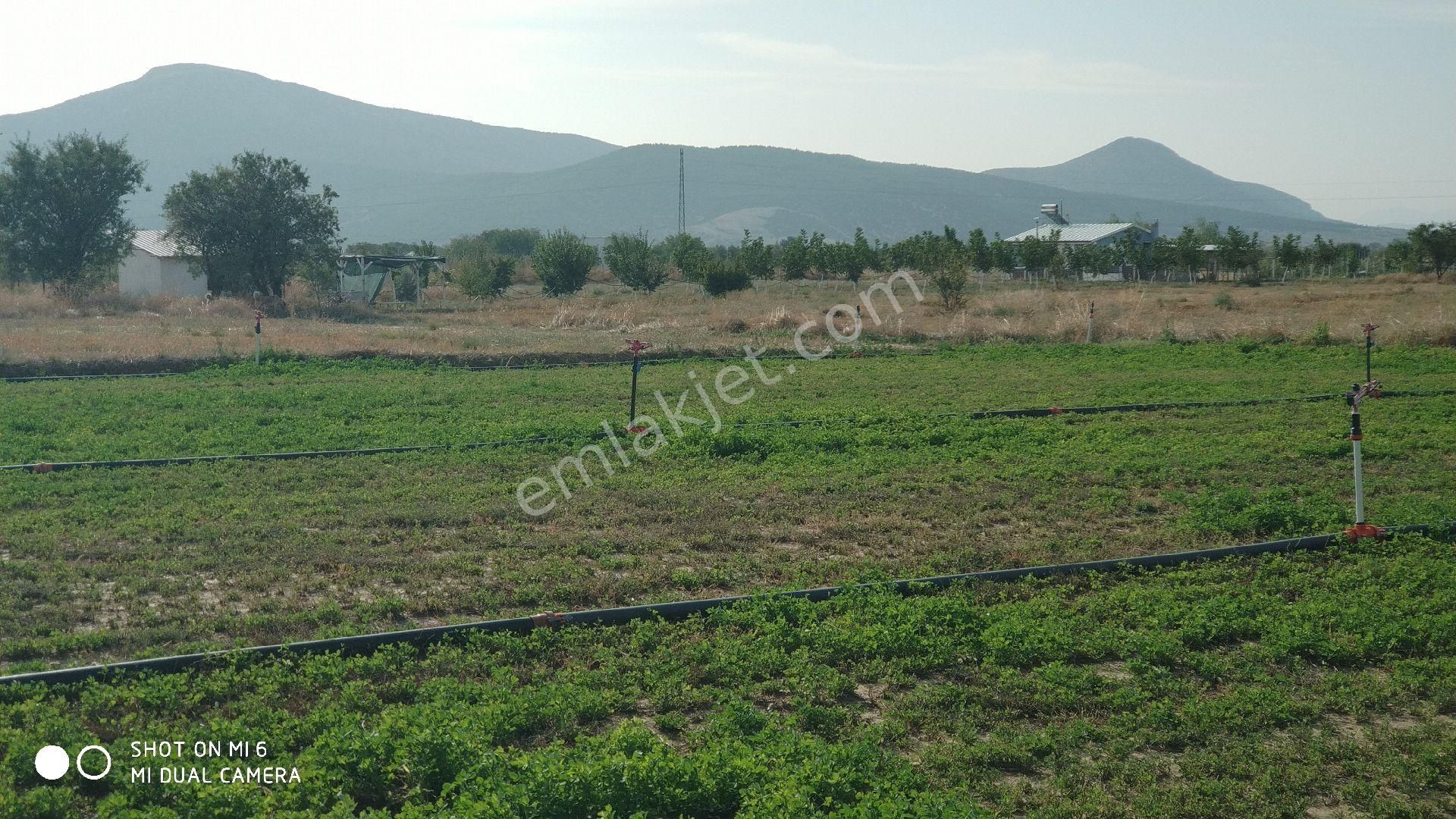 Korkuteli Çomaklı Satılık Bağ & Bahçe TEK TAPULU YERLEŞİM BÖLGESİNDE MAKUL FİYATTA YAZLIK BAHÇE