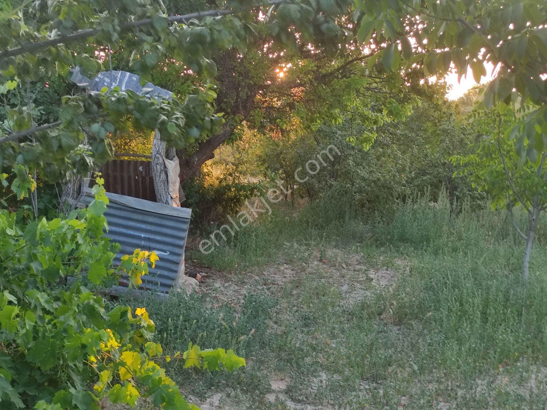 Özpınar,dan Çavuş Köyü Satılık Sulu 7 600 M2 Bağ-bahçe Tarla Anayola 60 Metre - Görsel 24