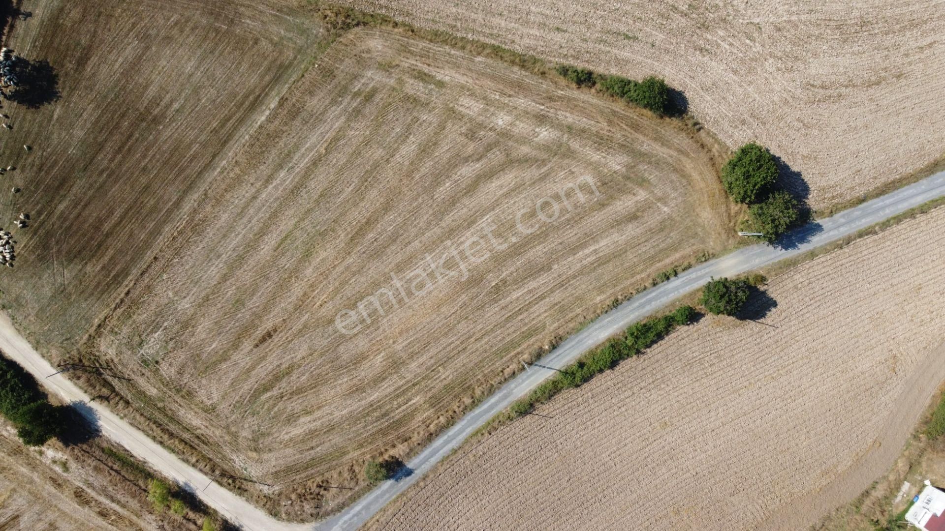 Sahibinden Satılık İmara Sınır Konumda Tarla - Görsel 4