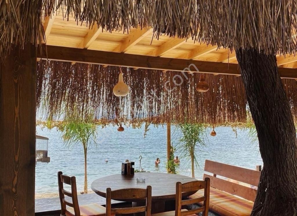 Bodrum Gümüşlük Denize 600m Geniş Bahçeli Manzaralı Sıfır Villalar - Görsel 14