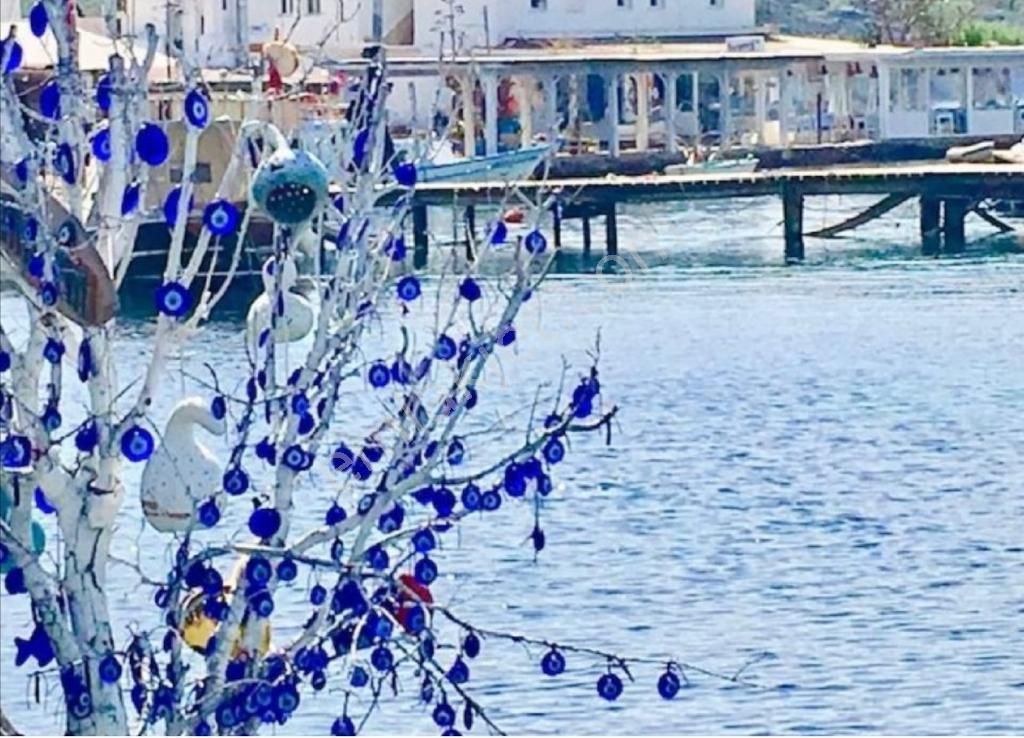 Bodrum Gümüşlük Denize 600m Geniş Bahçeli Manzaralı Sıfır Villalar - Görsel 8