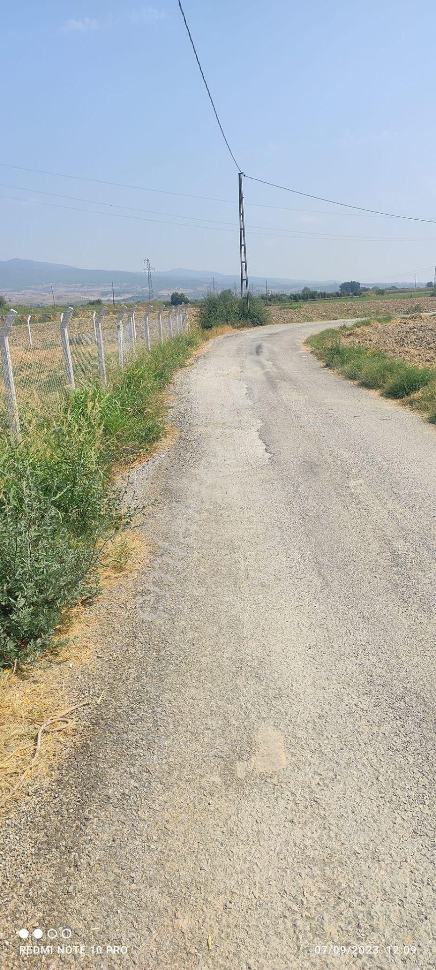 Turgutlu Albayrak Satılık Tarla Manisa Turgutluda Satılık Tarla