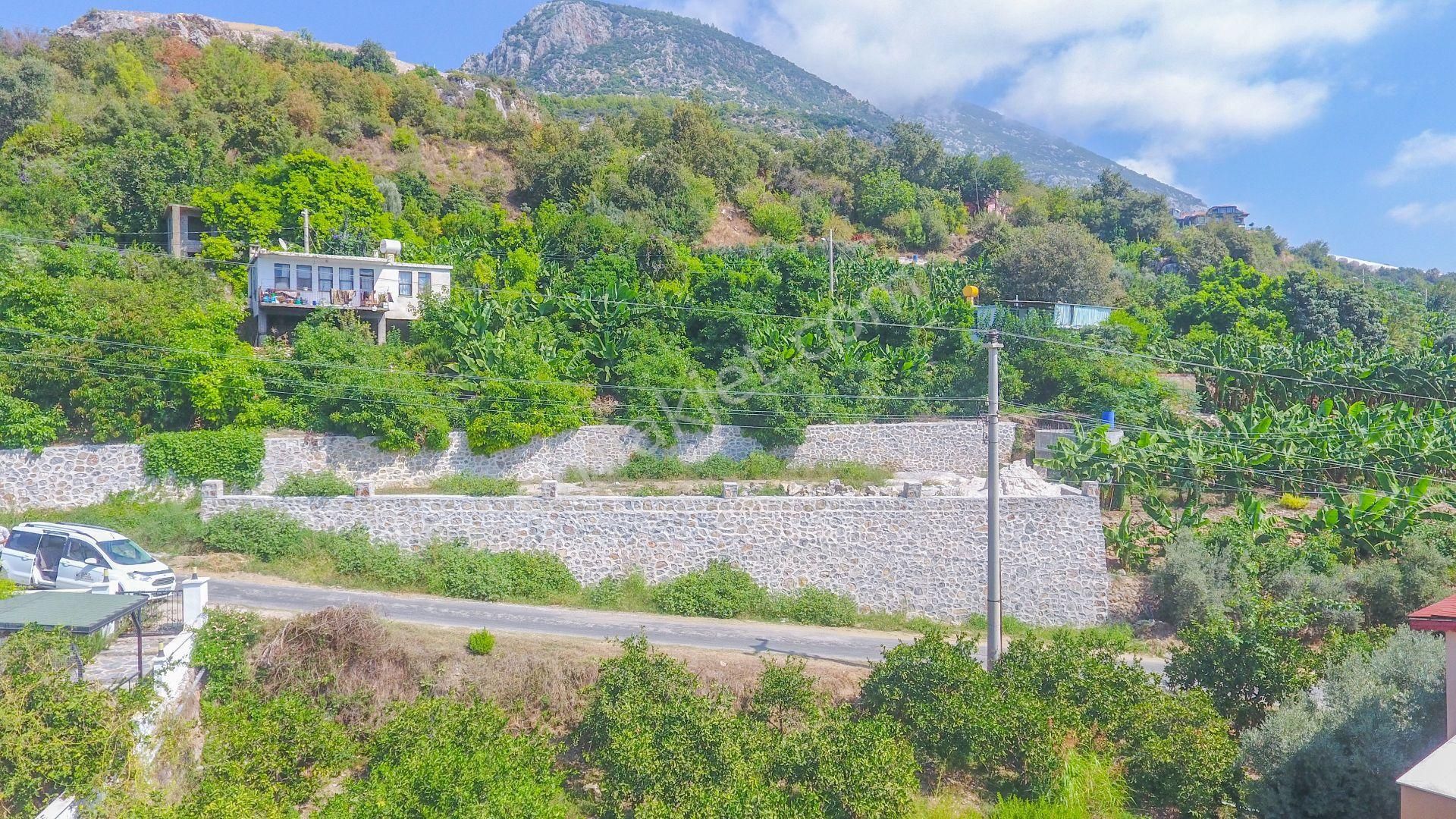 Alanya Yaylalı Satılık Tarla  ALANYA YAYLALI MAH. FULL KALE DENİZ MANZARALI 391M2 TARLA