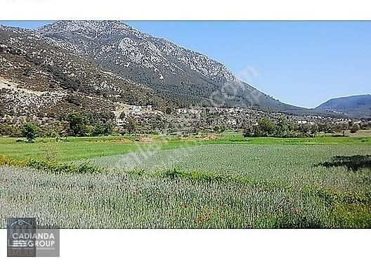 Fethiye İncirköyde 7500 Metrekare Satılık Arazi - Görsel 4
