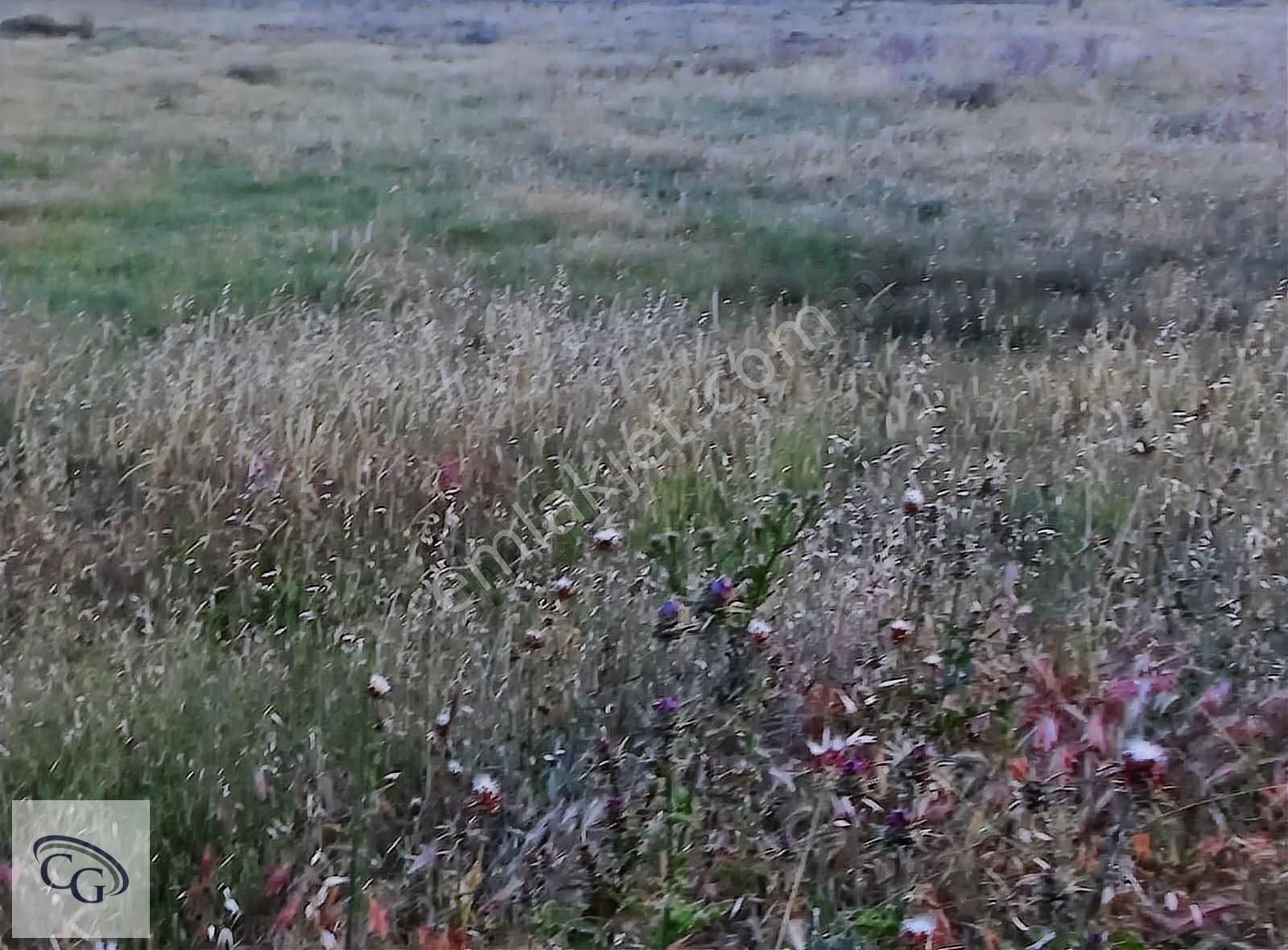 Ergene Karma Organize'de Satılık 5000 M2 Sanayi İmarlı Arsa - Görsel 7