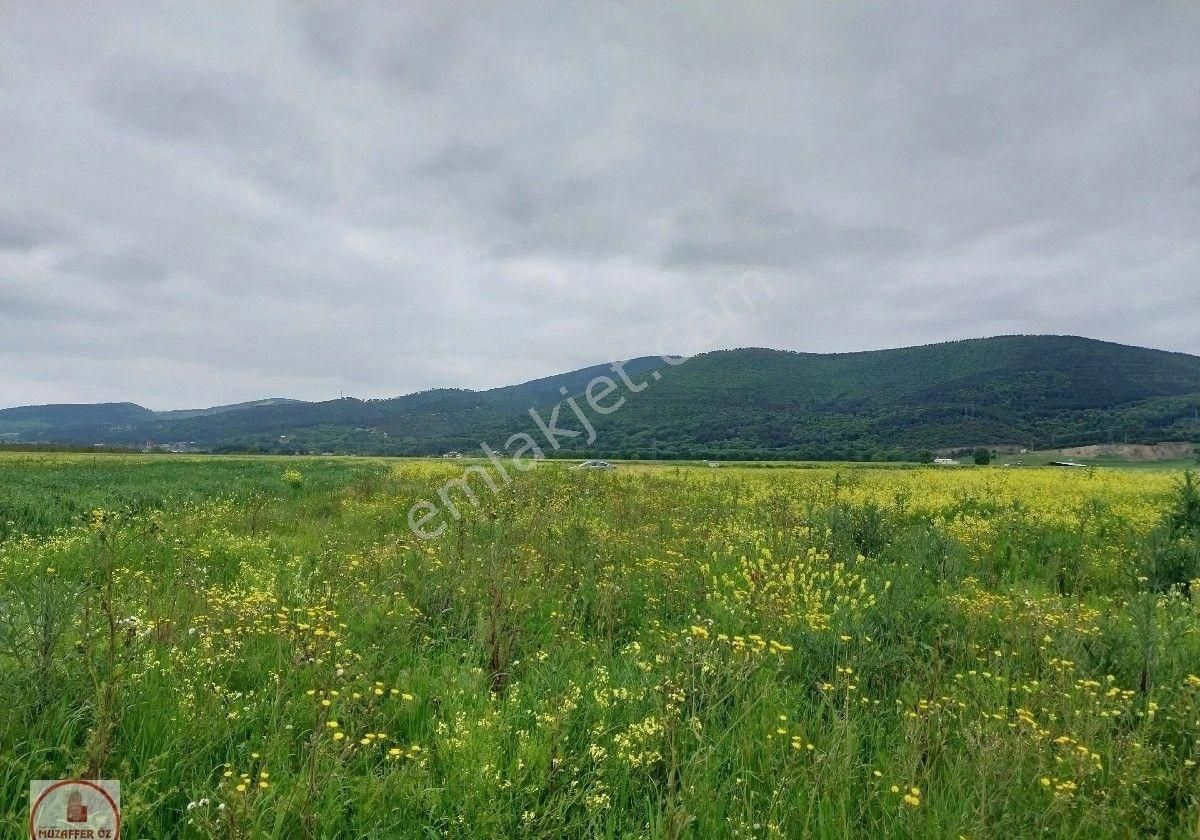 İvrindi Gökçeyazı Satılık Tarla BALIKESİR GÖKÇEYAZI/YENİ MAHALLE HOBI BAHÇELİK YOL VE SU KANALINA CEPHELİ YATIRIMLIK SATILIK ARAZİ..