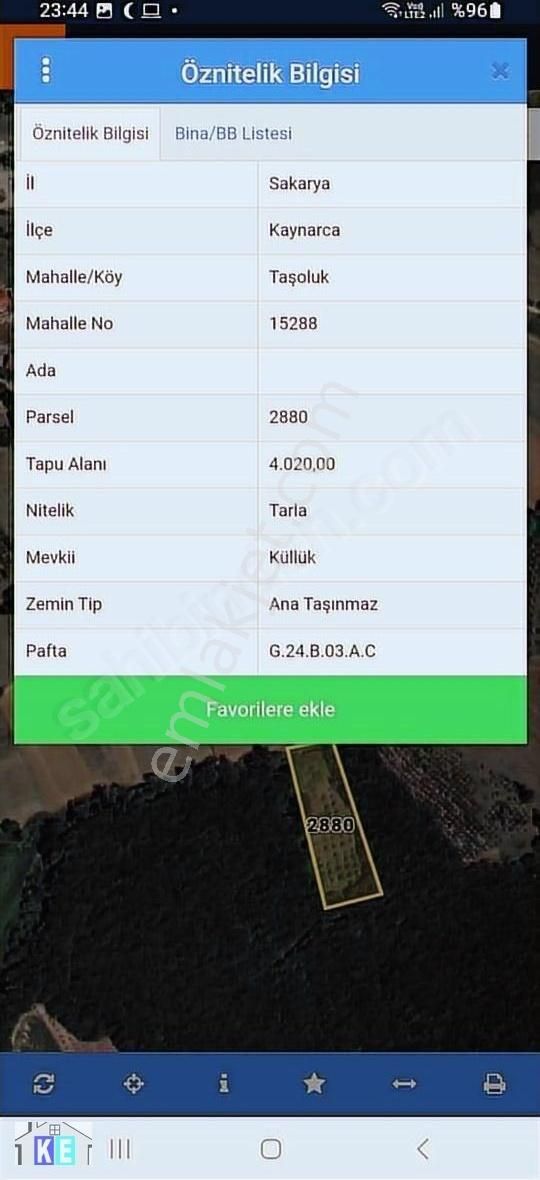 Sakarya Kaynarca Taşoluk Satılık 4020 Metrekare Fındık Bahçesi - Görsel 5