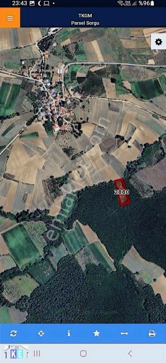 Sakarya Kaynarca Taşoluk Satılık 4020 Metrekare Fındık Bahçesi - Görsel 3