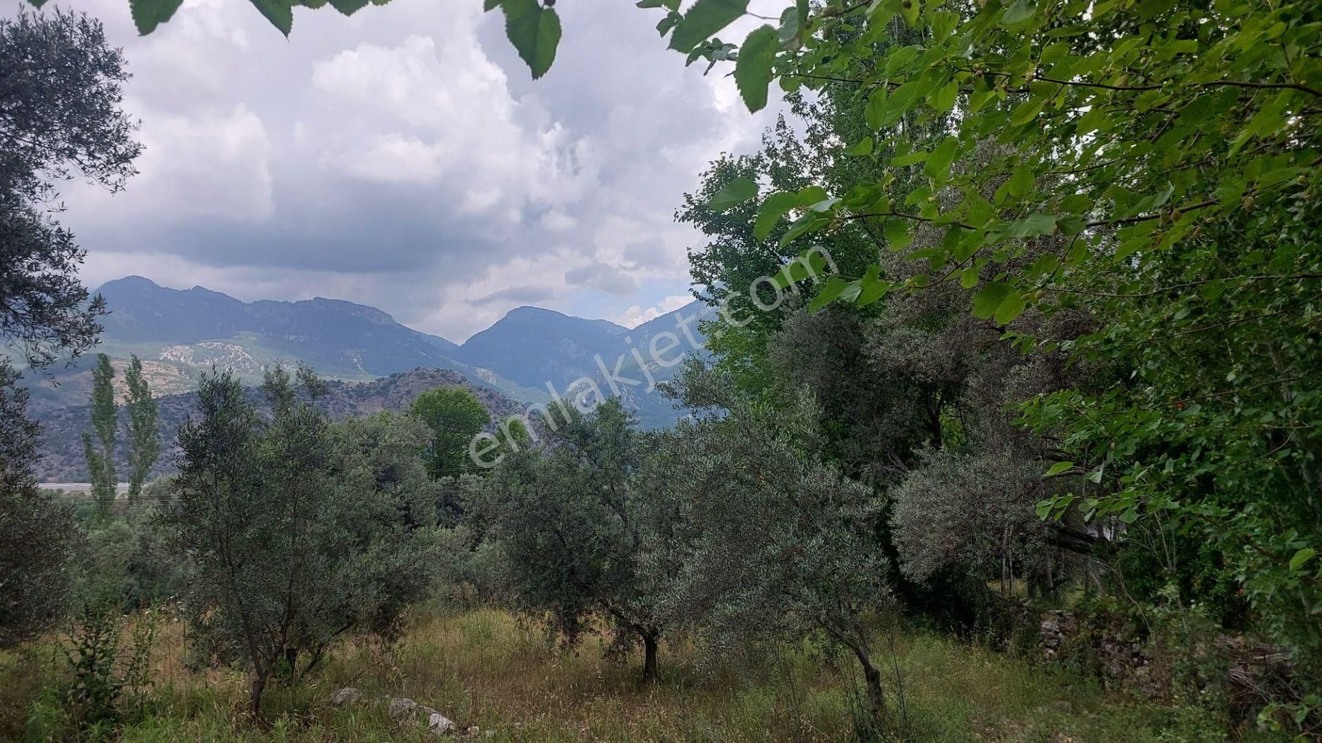 Seydikemer Çayan Satılık Tarla  Seydikemer Çayan Mevkisinde Köy İçi İmarlı Satılık Arsalar 