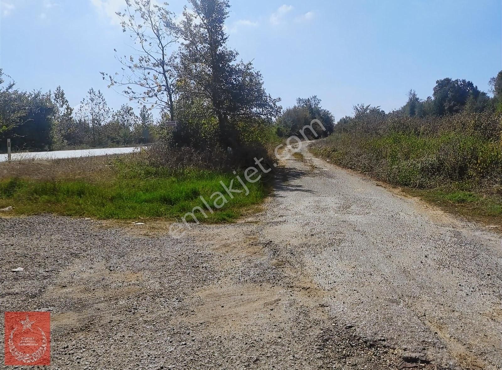 Kandıra Kırkarmut Satılık Bağ & Bahçe Kandıra izmit yolunda yollu fındıklık