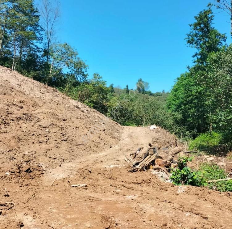 Araklı Buzluca Satılık Arazi  PREMAR GAYRİMENKULDEN ARAKLI BUZLUCA MAH. SATILIK ARAZİ