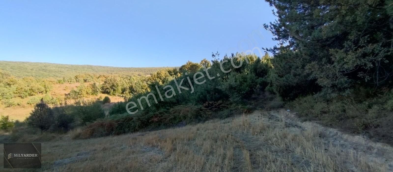 Bursa Yenişehir Gökçesuda Satılık 3 Dönüm Manzaralı Arazi - Görsel 4