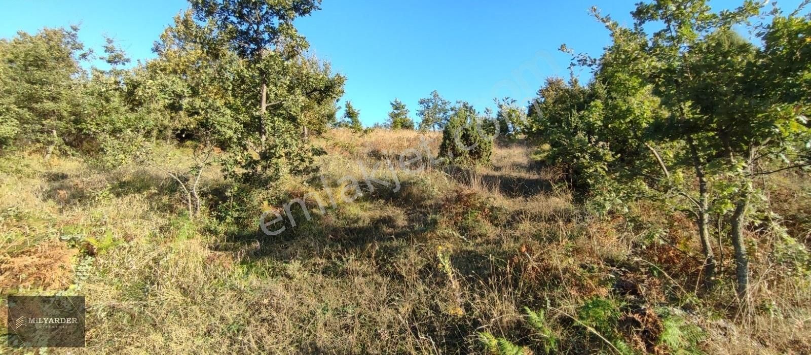 Bursa Yenişehir Gökçesuda Satılık 3 Dönüm Manzaralı Arazi - Görsel 8