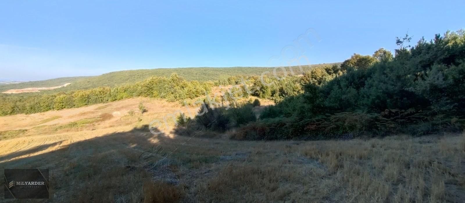 Bursa Yenişehir Gökçesuda Satılık 3 Dönüm Manzaralı Arazi - Görsel 3