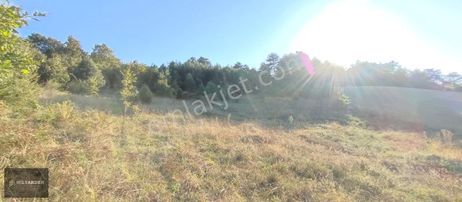 Bursa Yenişehir Gökçesuda Satılık 3 Dönüm Manzaralı Arazi - Görsel 5