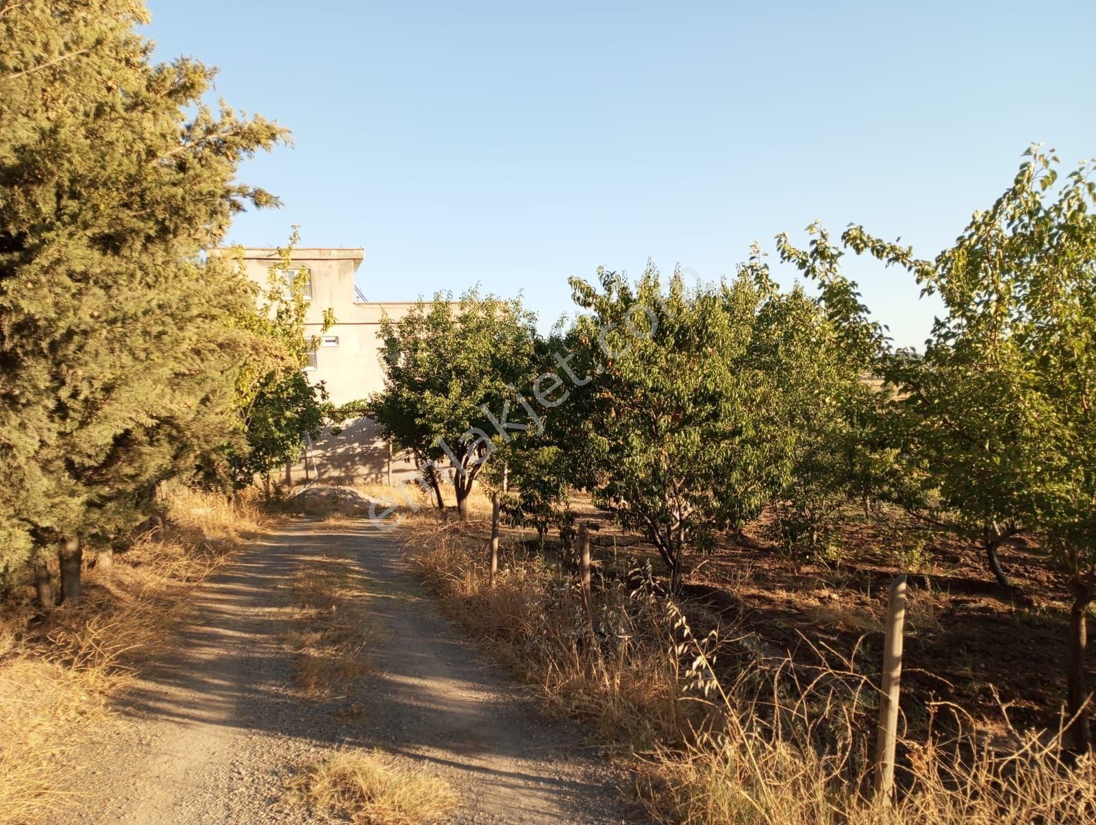 Dulkadiroğlu Elmalar Satılık Tarla Kahramanmaraş Dulkadiroğlu Elmalar  satılık Kargir bağ evi ve bahçe