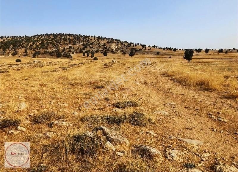 Korkuteli Sımandır Satılık Tarla KORKUTELİ SİMANDIR KÖYÜNDE,100MT YOLA CEPHELİ MÜSTAKİL TARLA