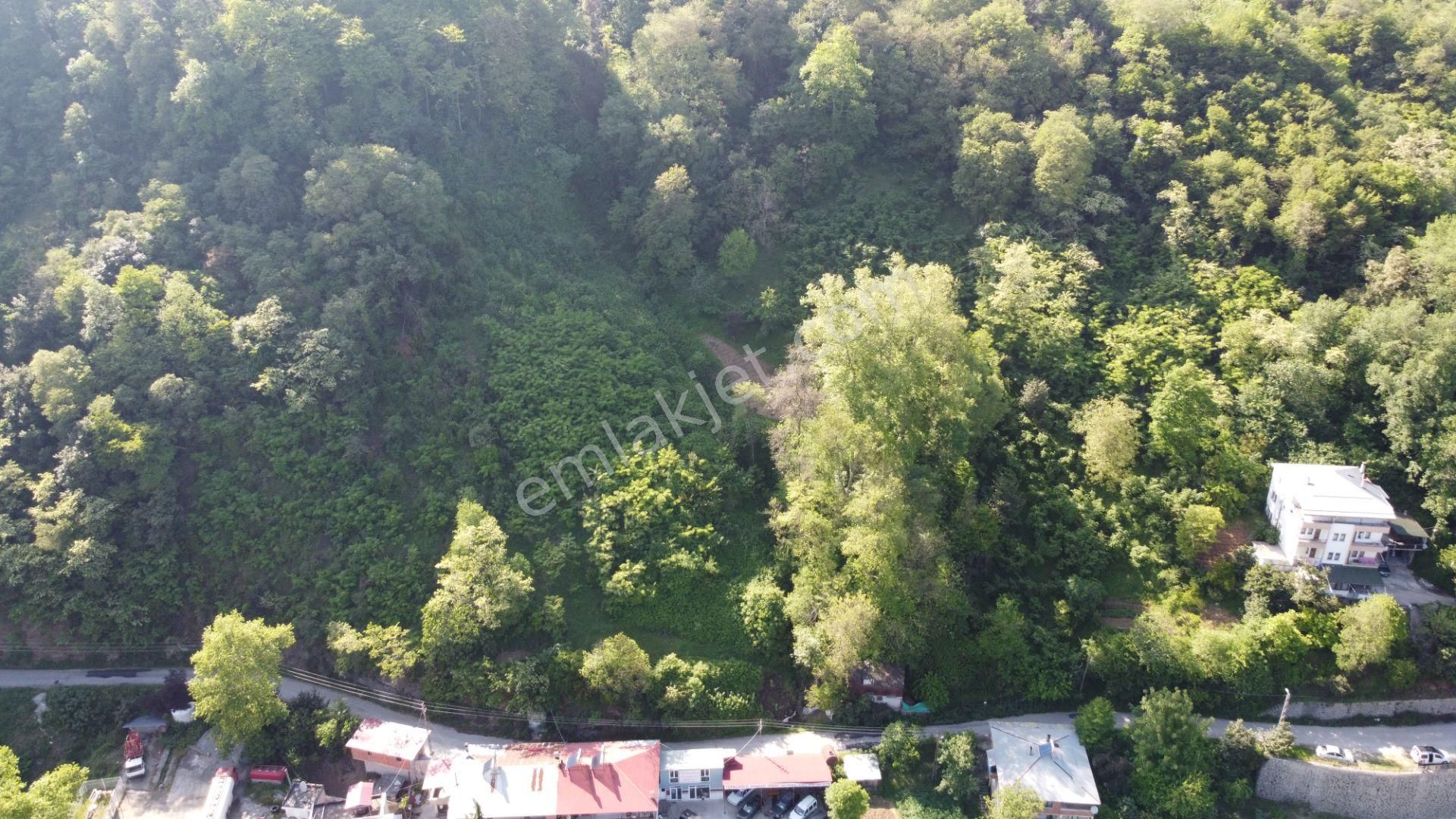 Akçaabat Kayalar Satılık Konut İmarlı  ABDİ BOSTAN GAYRİMENKUL'DEN AKÇAABAT KAYALAR MAH SATILIK ARAZİ