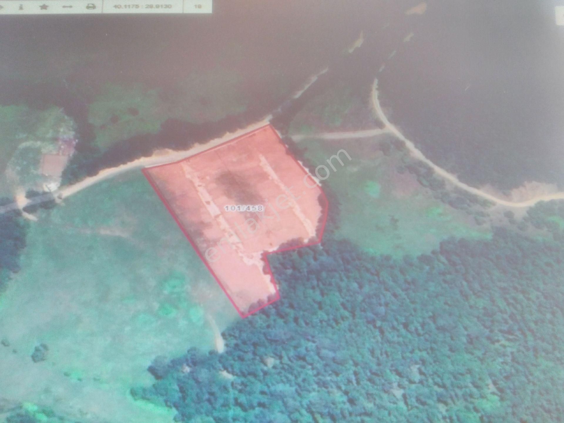 Bursa Nilüfer Atlas Köyde 300m2 Yolu ,suyu Mevcut Doğayla Başbaşa Satılık Hobi Evi Bahçesi. - Görsel 14