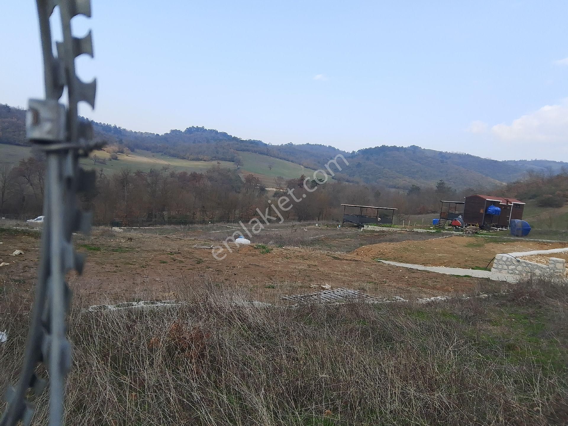 Bursa Nilüfer Atlas Köyde 300m2 Yolu ,suyu Mevcut Doğayla Başbaşa Satılık Hobi Evi Bahçesi. - Görsel 9