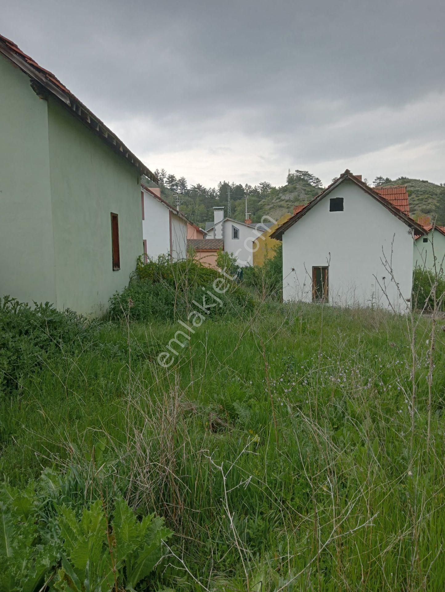 Bolu Mudurnu Karacakaya Bahçeli Dağ Evi - Görsel 8