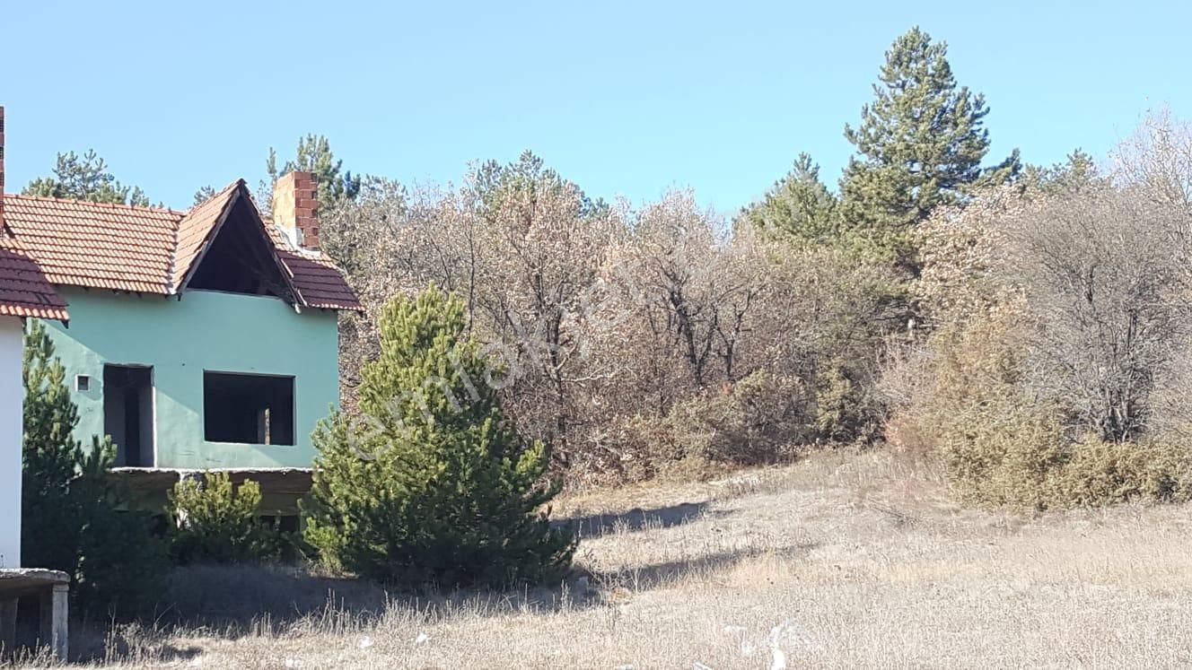 Bolu Mudurnu Karacakaya Dağ Evi Bahçeli - Görsel 5