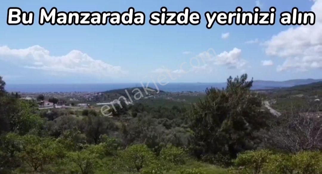 Menderes Gümüldür Fevzi Çakmak Satılık Tarla Yetişen alıyor son parseller 250m2 Deniz Ve Doğa manzaralı Kooperatif hissesi 