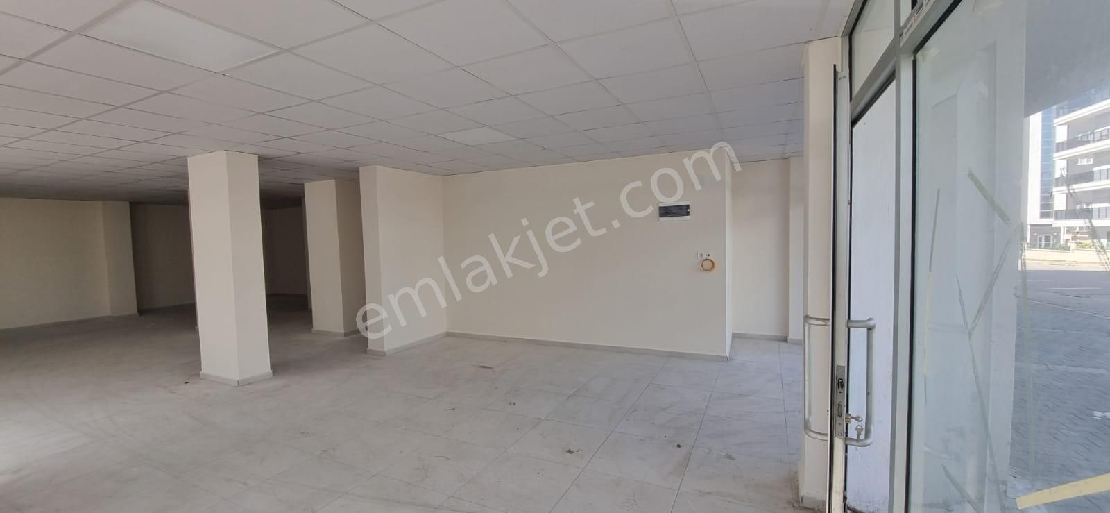 Nazilli Altıntaş Kiralık Dükkan & Mağaza  Tombul Emlaktan Yeşil mahallede Sıfır Kiralık Dükkan