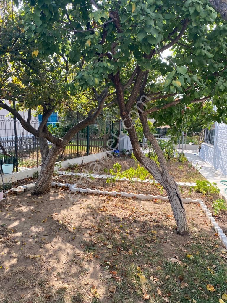 Koyuncu Group Tan Ürkmezde Denize Nazır 3+1 Satılık Villa - Görsel 35