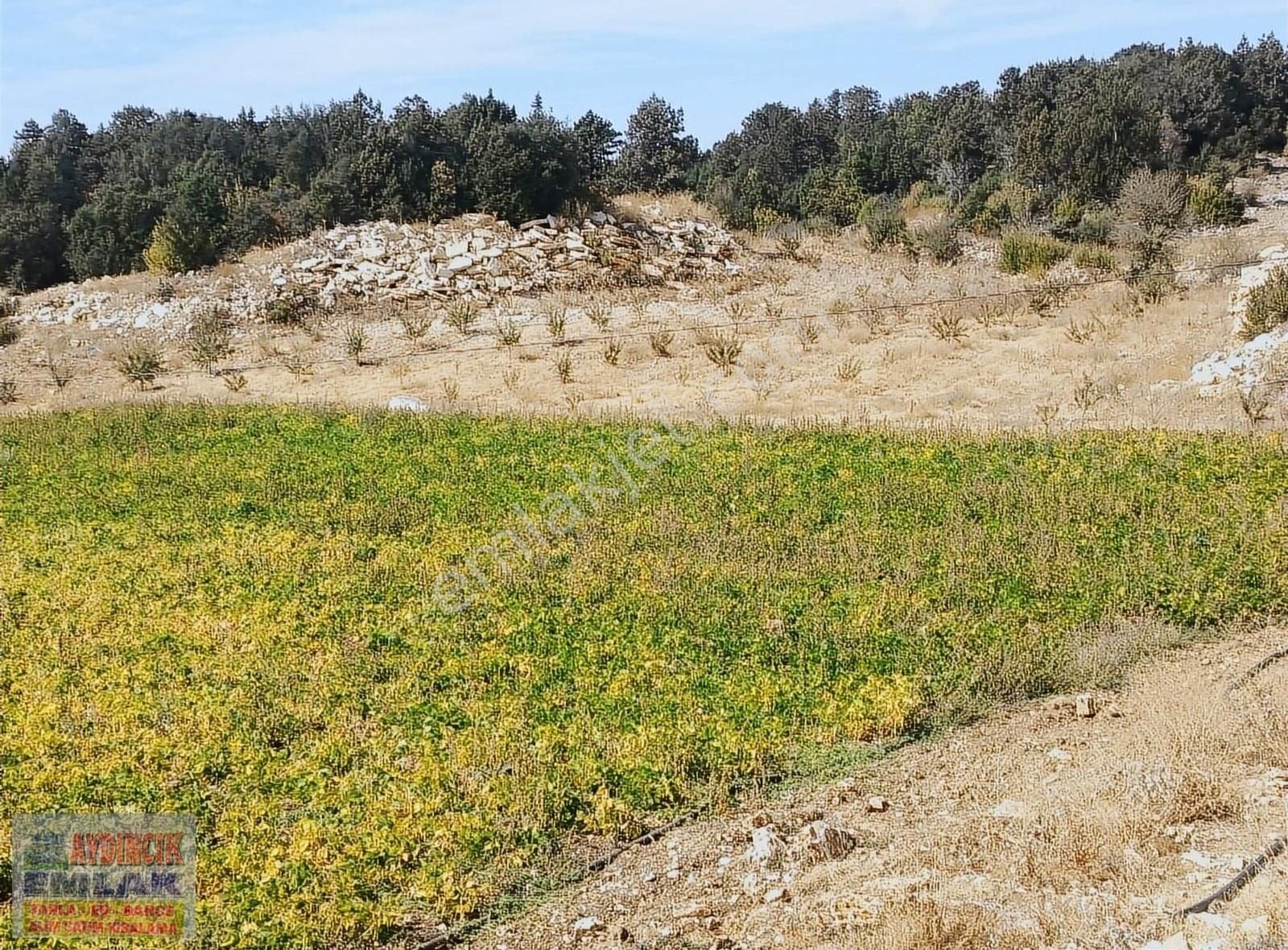 Gülnar Taşoluk Satılık Bağ & Bahçe AYDINCIK EMLAKTAN SATILIK BADEM BAHÇESİ 24.250m2