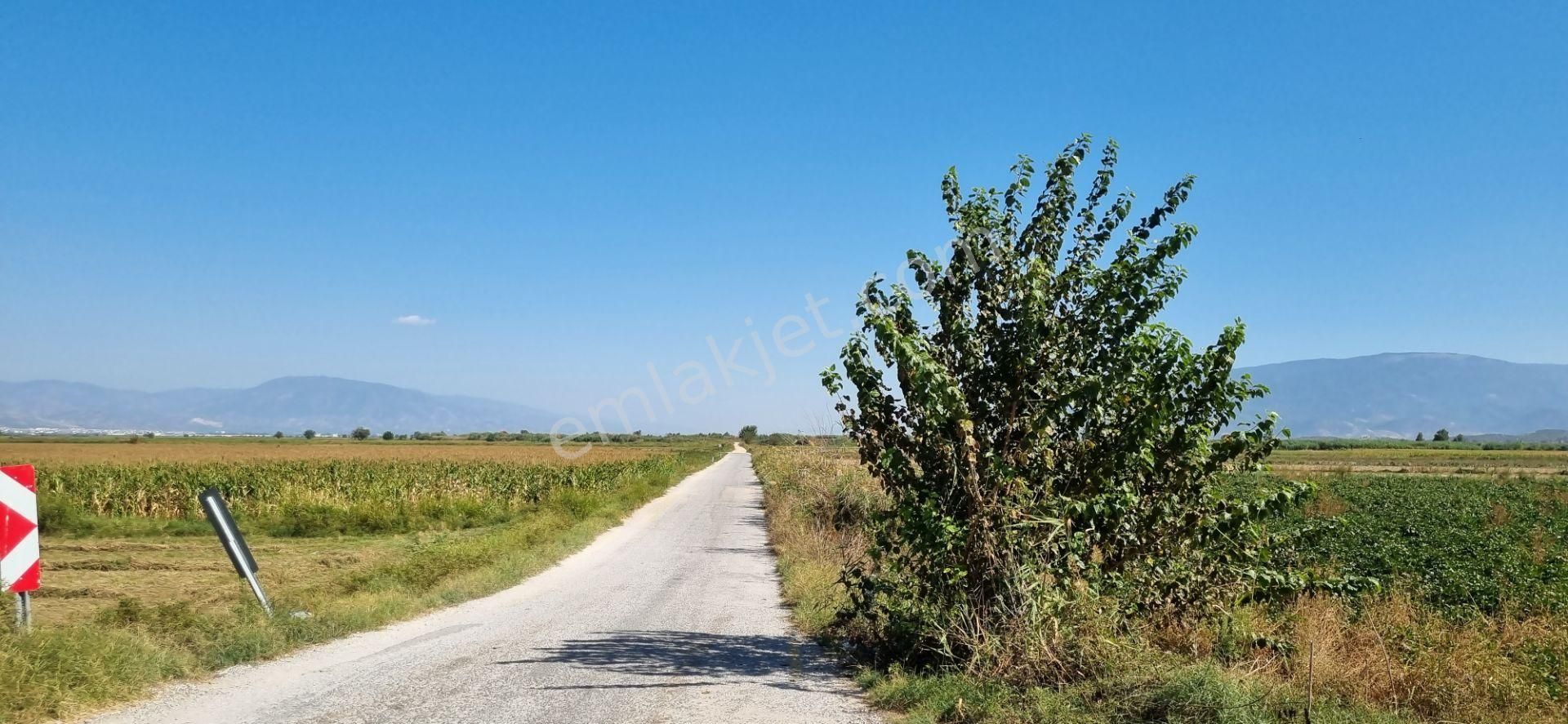 Yenipazar Donduran Satılık Tarla AYDIN NAZİLLİ YÖNTEM EMLAKTAN YENİPAZAR DONDURAN MAHA.DE ATÇA  ASFALTINA SIFIR SATILIK HOBİ BAHÇESİ