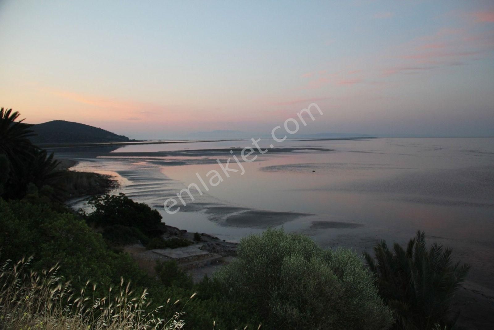 Söke Doğanbey'de Doğa İle Bütünleşen Müstakil Rum Evi - Görsel 33