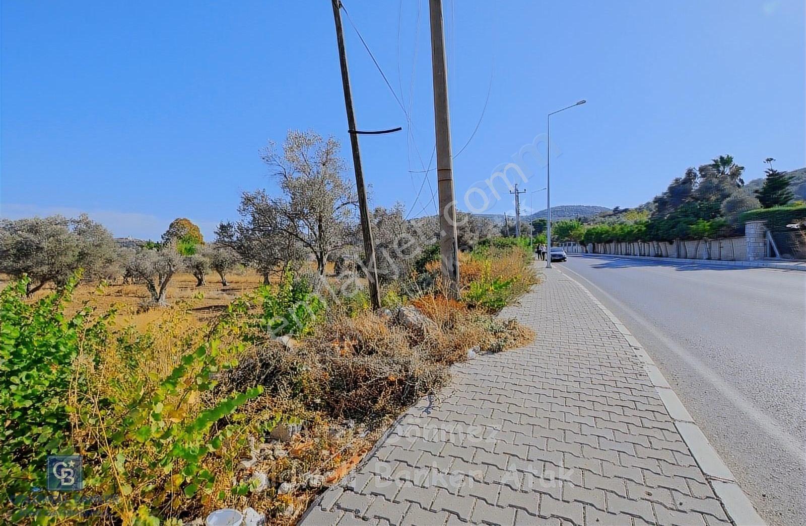 Urla Çeşmealtı Denizli Mah Harbiye Cad Lüks Mevkii Kusursuz Tarla - Görsel 9