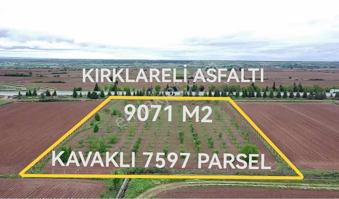 Kırklareli Merkez Kavaklı Bld. (Turist) Satılık Bağ & Bahçe  KIRKLARELİ KAVAKLI KORUSU YANI,9071 M2 ASFALTA CEPHE 5.000.000TL