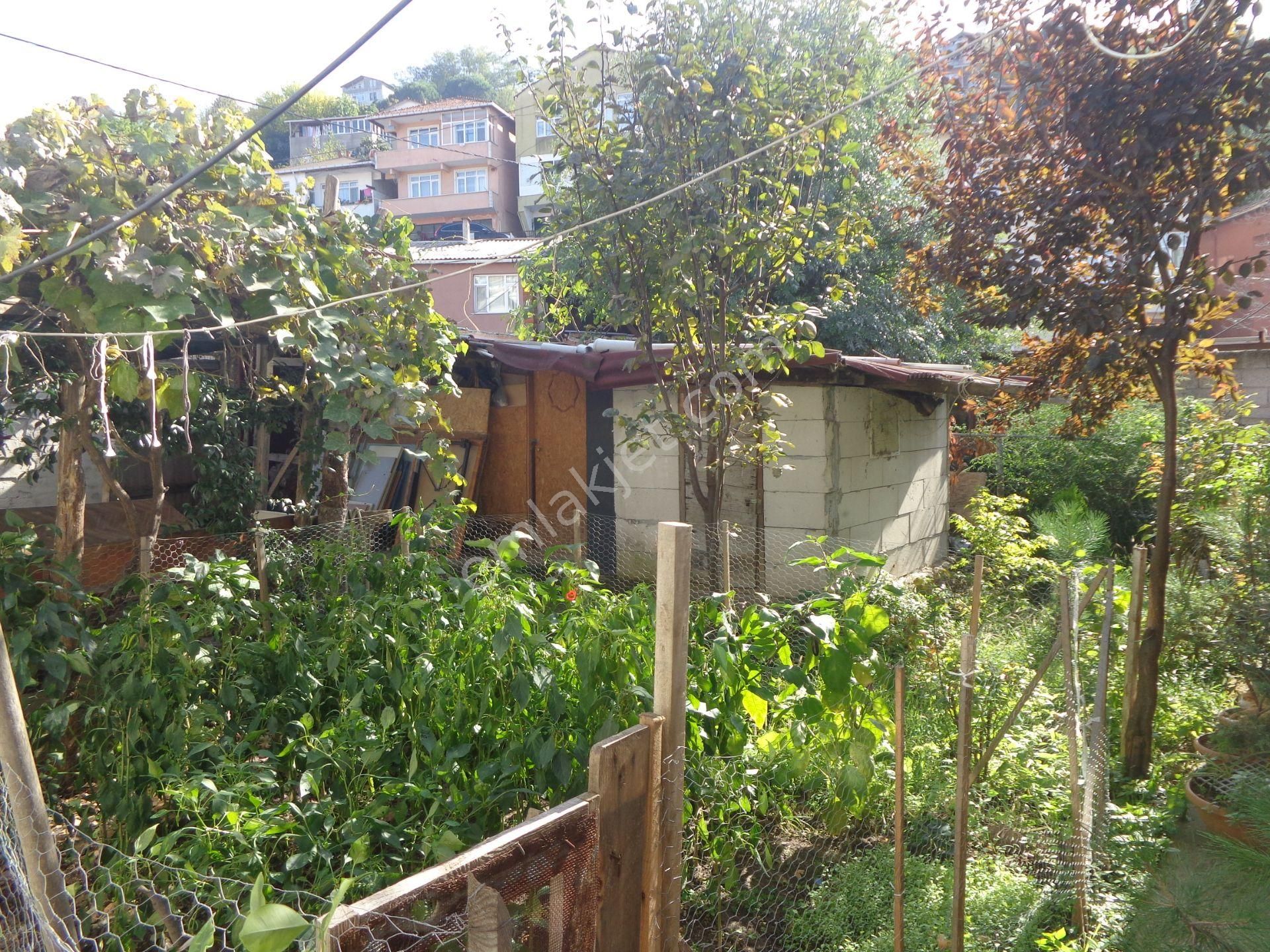 Beykoz İncirköy Çiftehavuzlar Mevkiinde Satılık Müstakil - Görsel 15