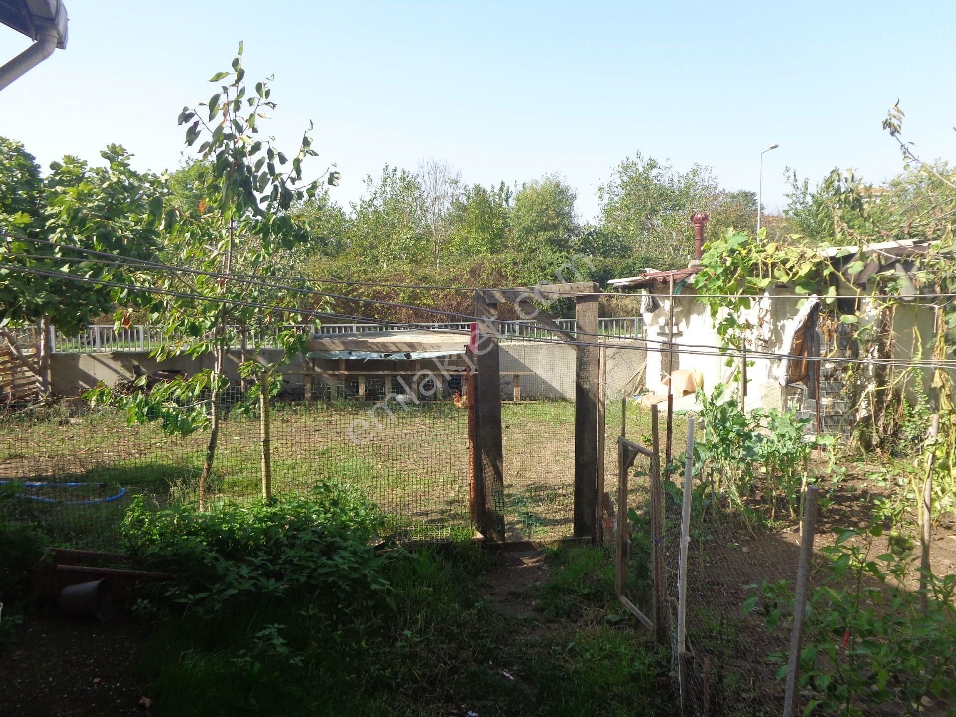 Beykoz İncirköy Çiftehavuzlar Mevkiinde Satılık Müstakil - Görsel 11