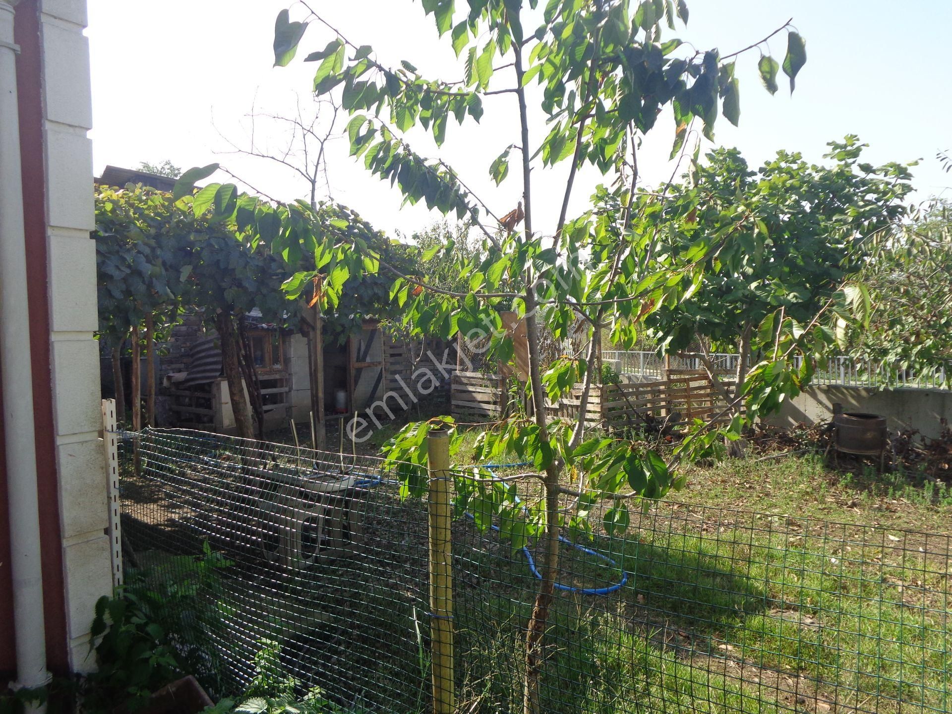 Beykoz İncirköy Çiftehavuzlar Mevkiinde Satılık Müstakil - Görsel 12