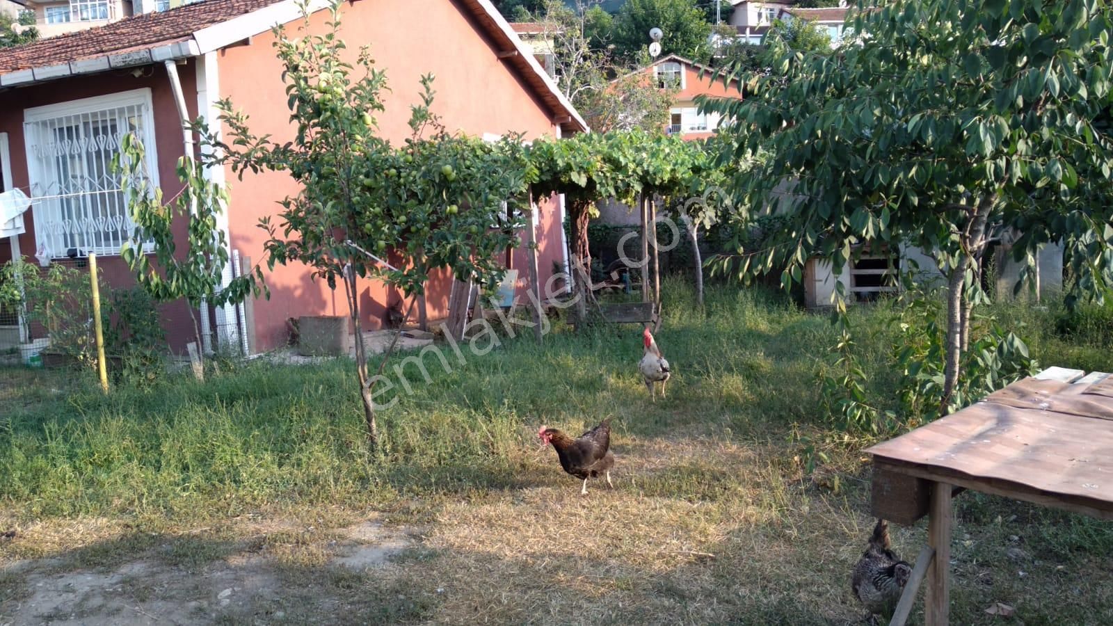 Beykoz İncirköy Çiftehavuzlar Mevkiinde Satılık Müstakil - Görsel 6