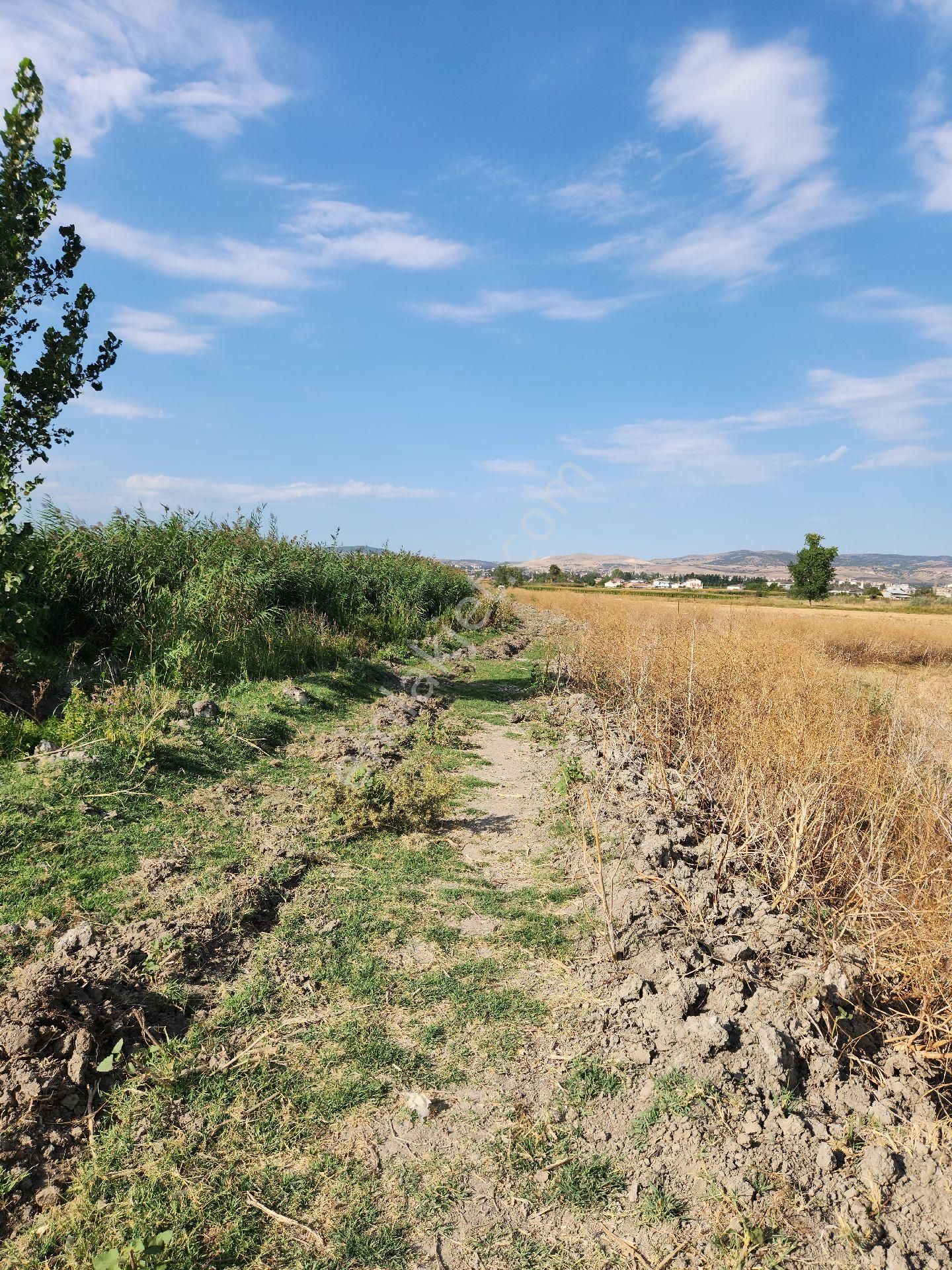 Suluova Bir Eylül Satılık Arazi Amasya Suluova Bireylül mahallesinde 4 dönüm müstakil tapulu arazi 