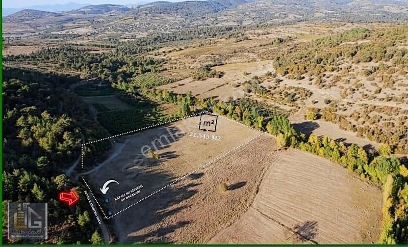 Bayramiç Çavuşlu Köyü Satılık Tarla ÇANAKKALE BAYRAMİÇ ÇAVUŞLU KÖYÜ SATILIK BAĞ