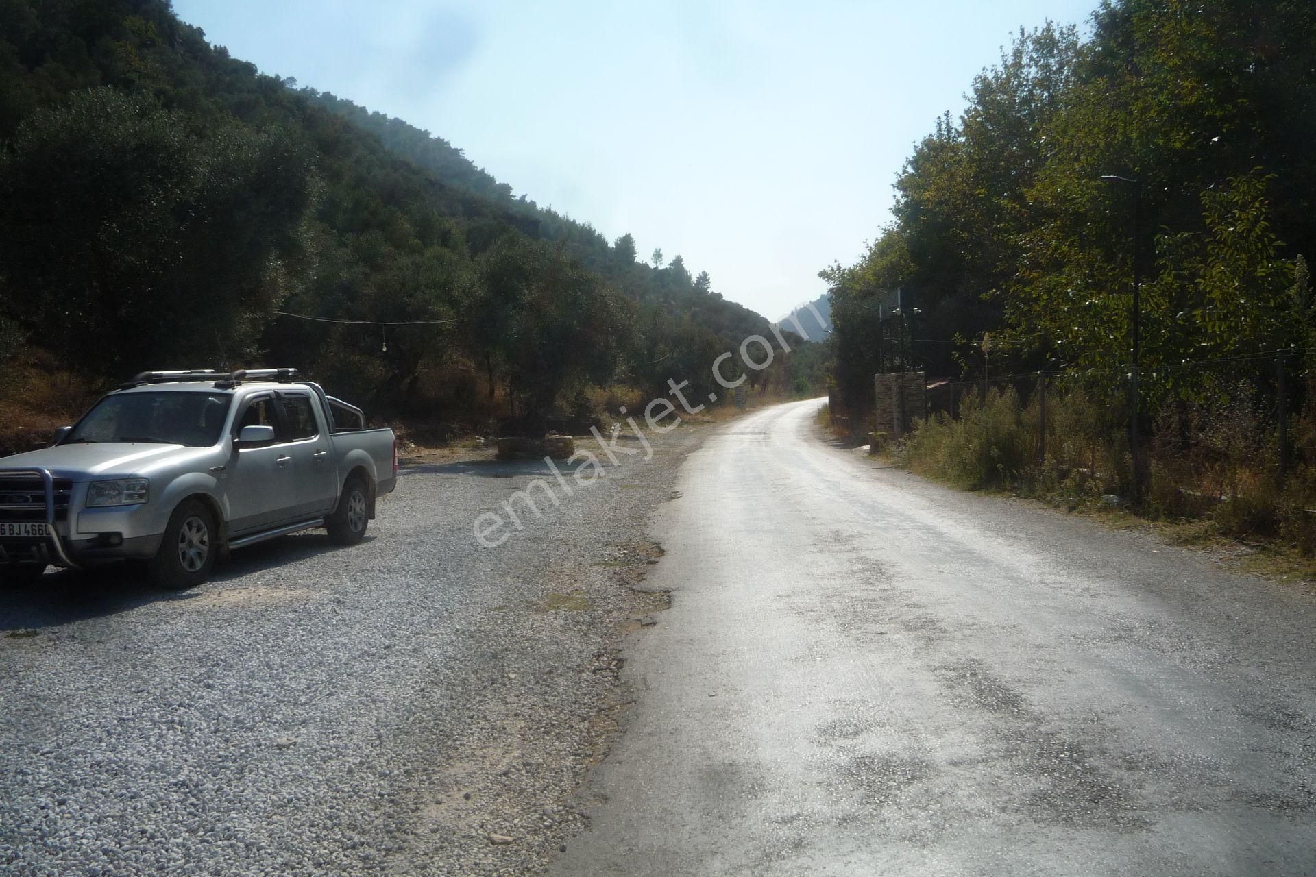 İzmir Torbalı Gold Emlaktan Satılık Zeytin Bahçesi... - Görsel 2
