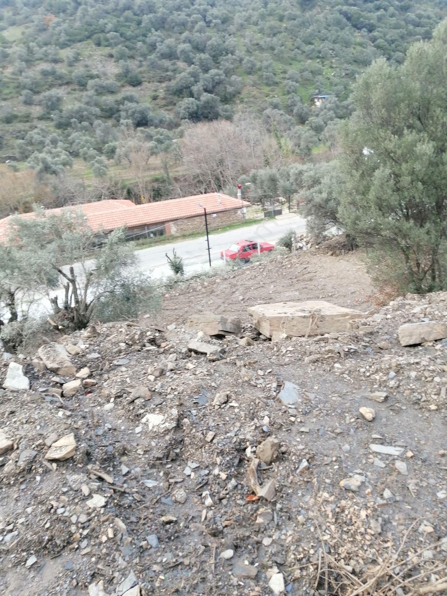 İzmir Torbalı Gold Emlaktan Satılık Zeytin Bahçesi... - Görsel 23