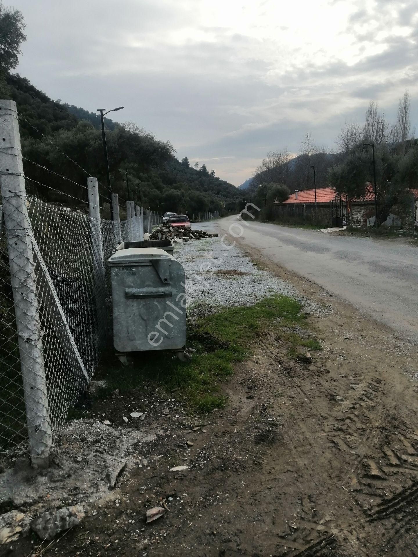 İzmir Torbalı Gold Emlaktan Satılık Zeytin Bahçesi... - Görsel 28
