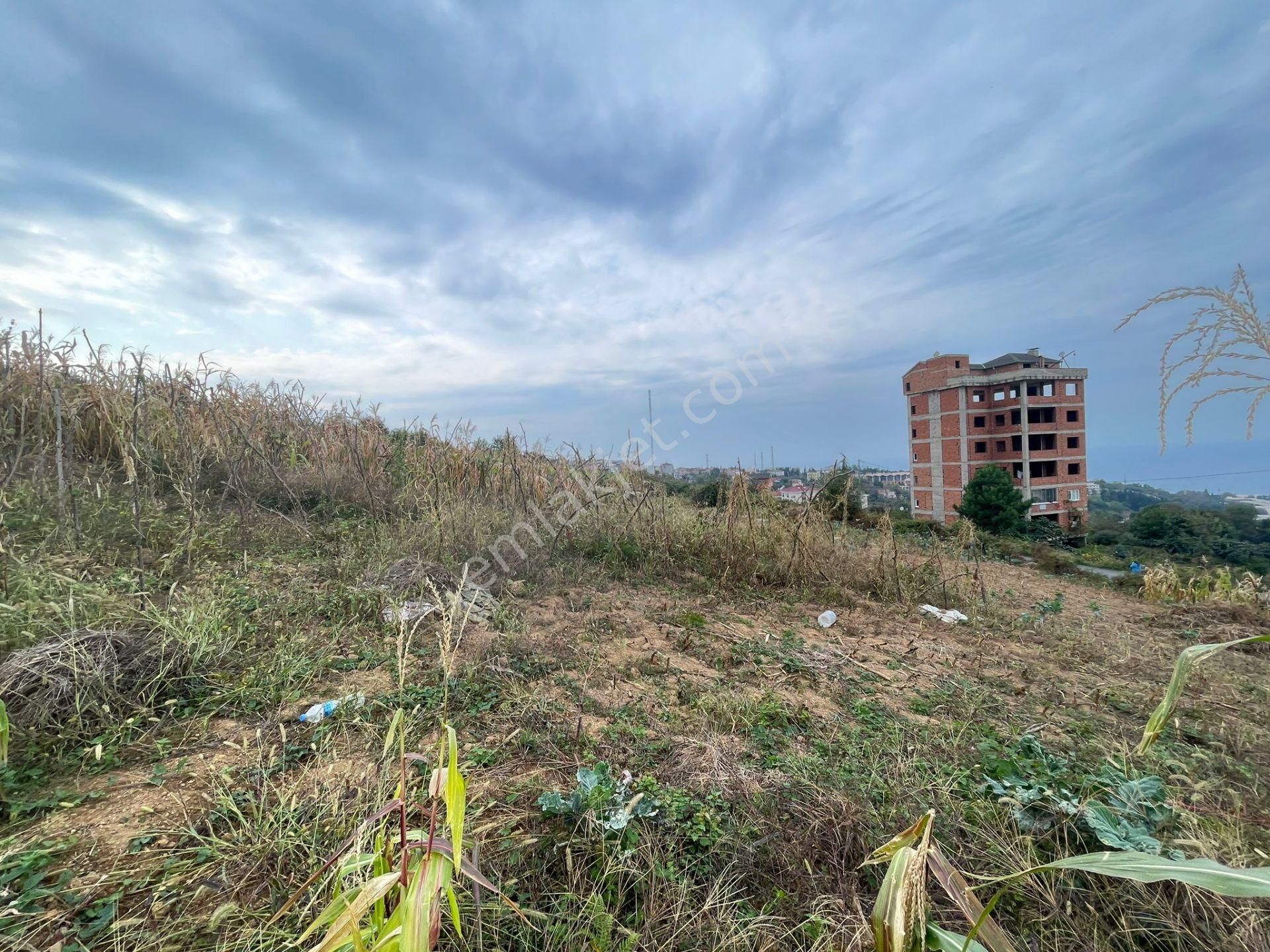 Ortahisar Kanuni Satılık Konut İmarlı  Trabzon Ortahisar Kanuni Satılık Arsa