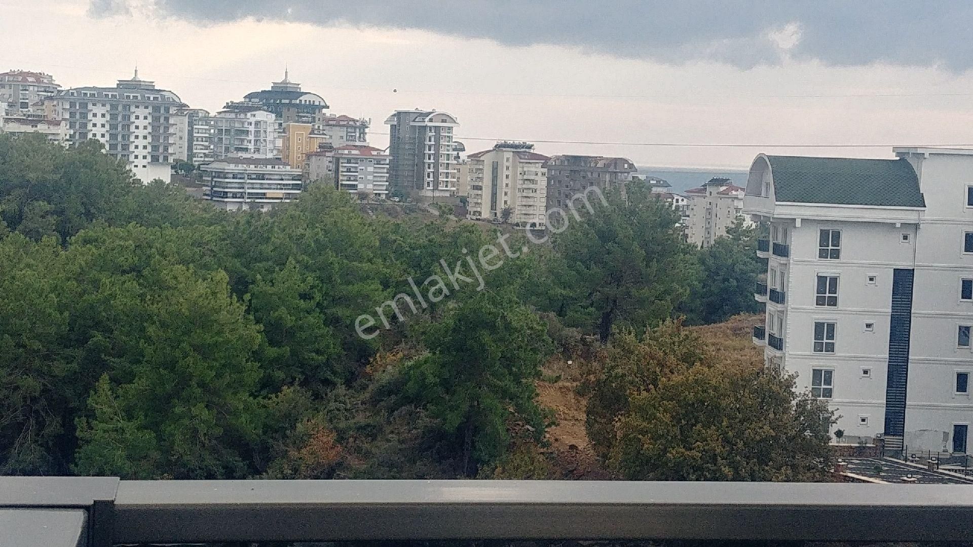 Araç Takaslı,alanya Avsallar Mah. Satılık 1+1 Daire - Görsel 16