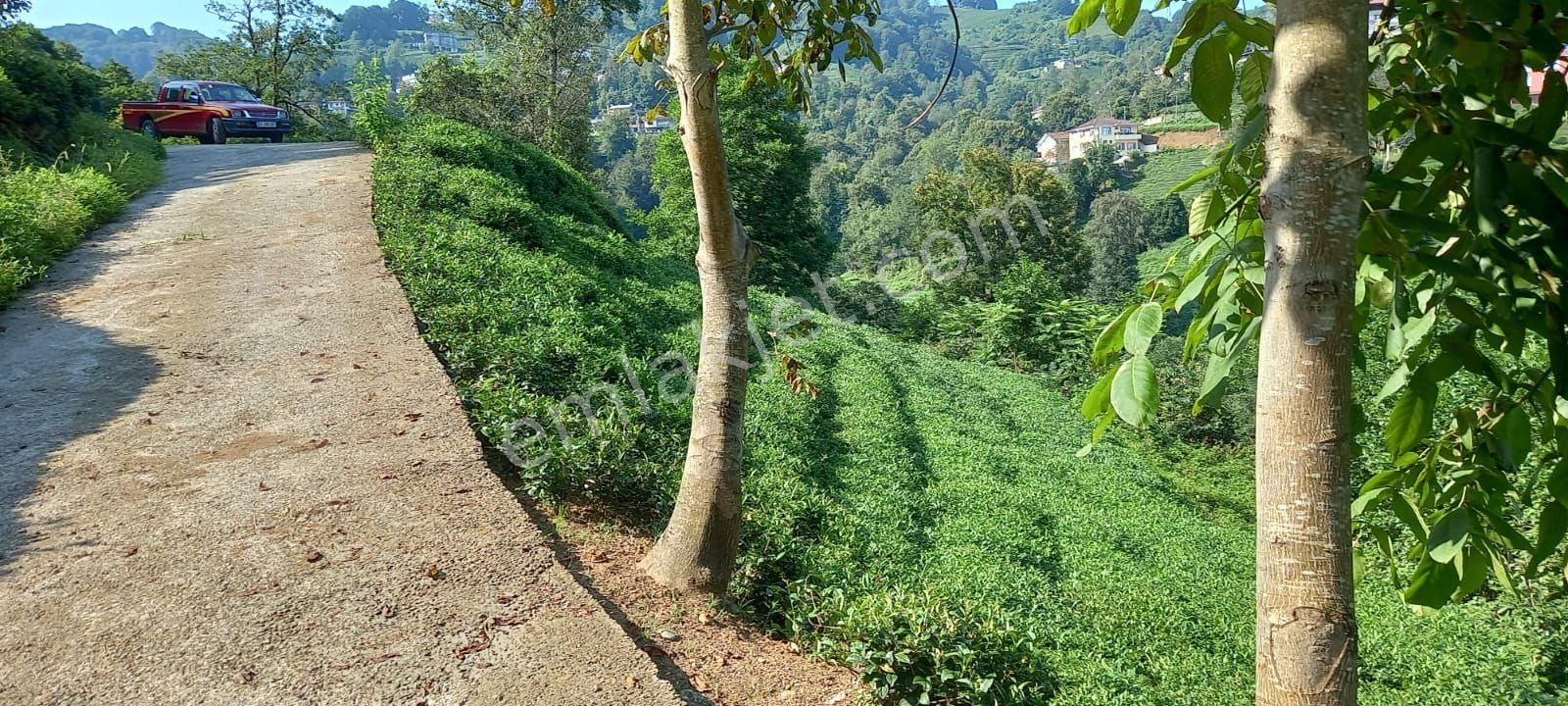 Derepazarı Subaşı Satılık Bağ & Bahçe Rize Derepazarı subaşı mahallesi satılık arazi deniz manzaralı 